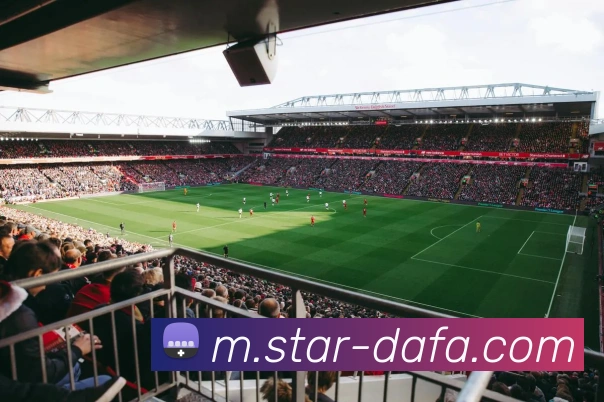 大发彩票平台生态图